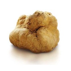 Spring White Truffle